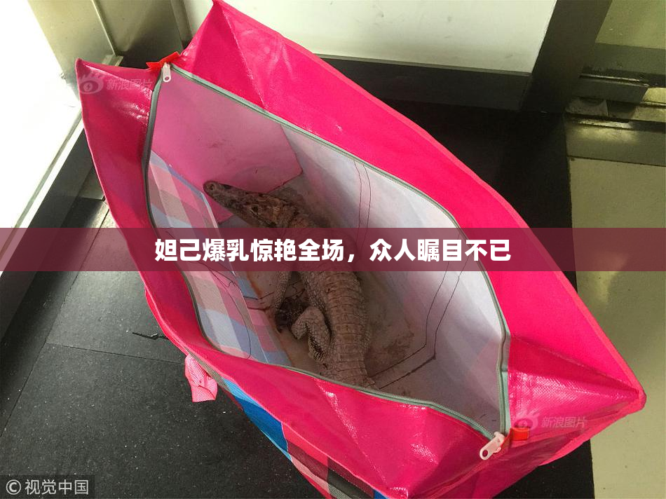 妲己爆乳惊艳全场，众人瞩目不已