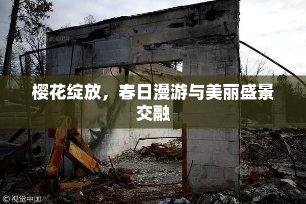 樱花绽放，春日漫游与美丽盛景交融