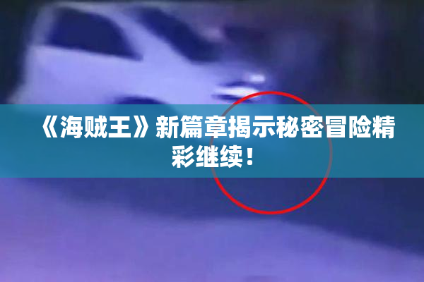 《海贼王》新篇章揭示秘密冒险精彩继续！
