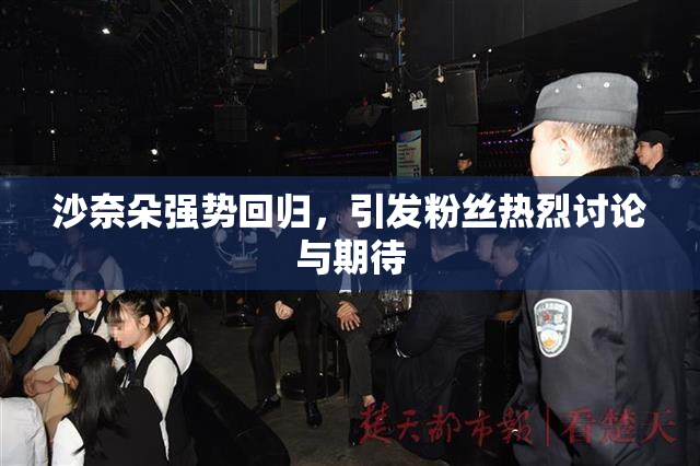 沙奈朵强势回归，引发粉丝热烈讨论与期待