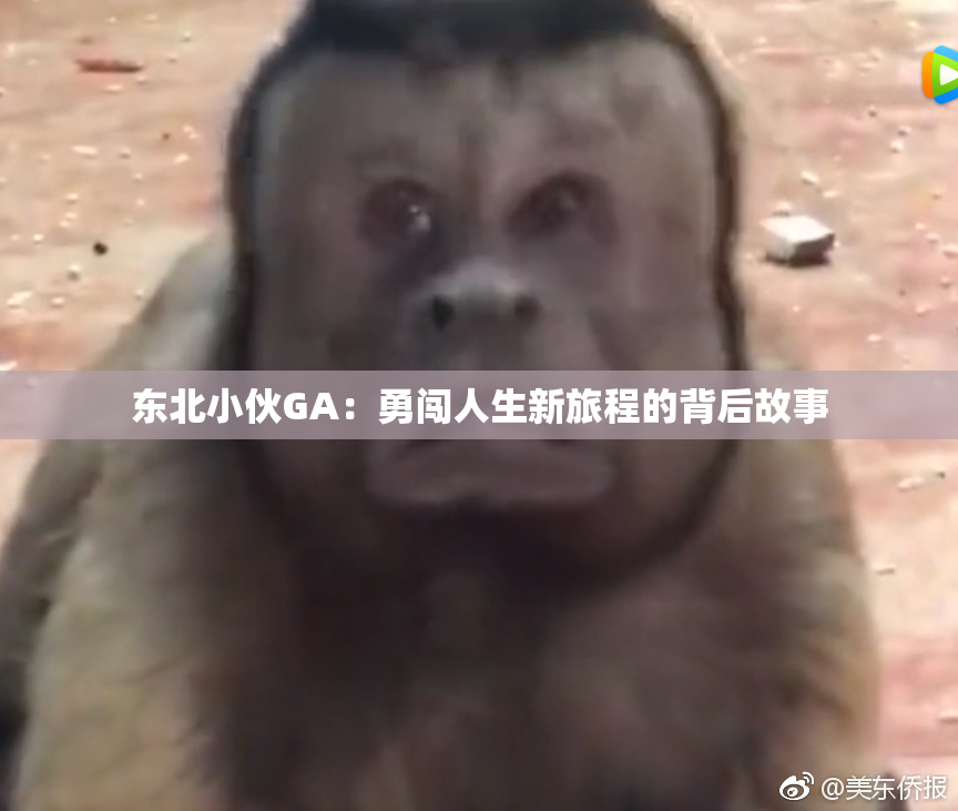 东北小伙GA：勇闯人生新旅程的背后故事