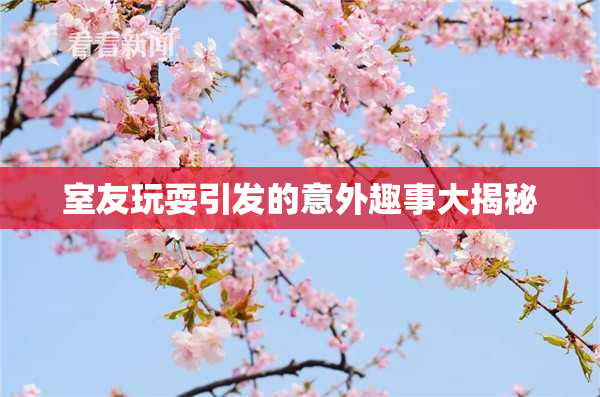 室友玩耍引发的意外趣事大揭秘