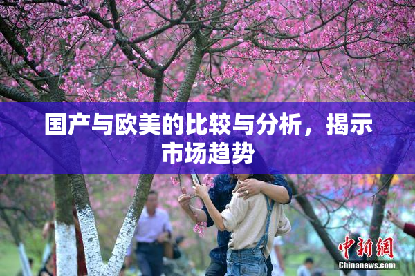 国产与欧美的比较与分析，揭示市场趋势