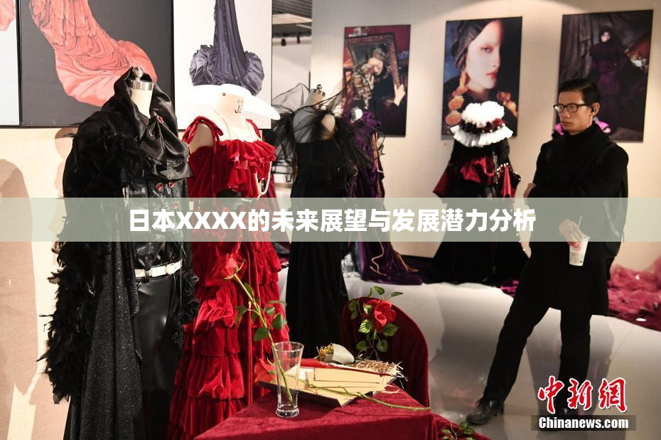 日本XXXX的未来展望与发展潜力分析