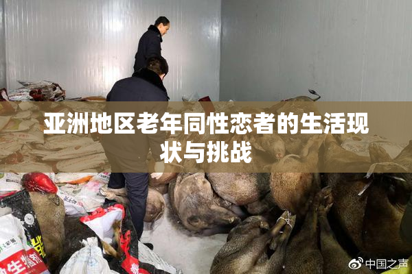 亚洲地区老年同性恋者的生活现状与挑战