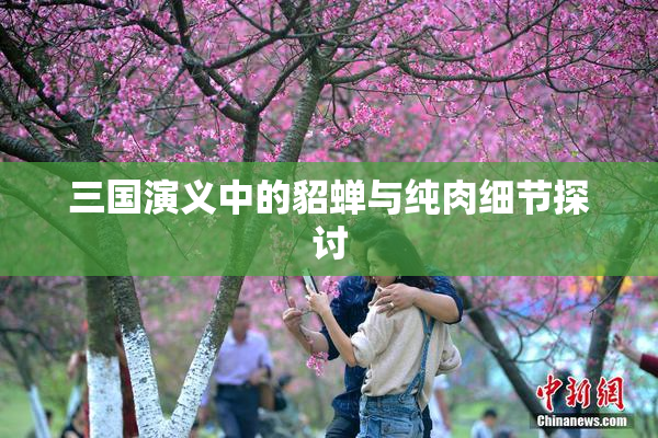 三国演义中的貂蝉与纯肉细节探讨