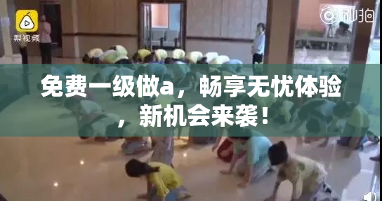免费一级做a，畅享无忧体验，新机会来袭！