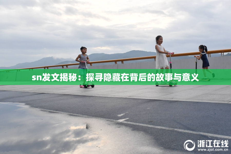 sn发文揭秘：探寻隐藏在背后的故事与意义