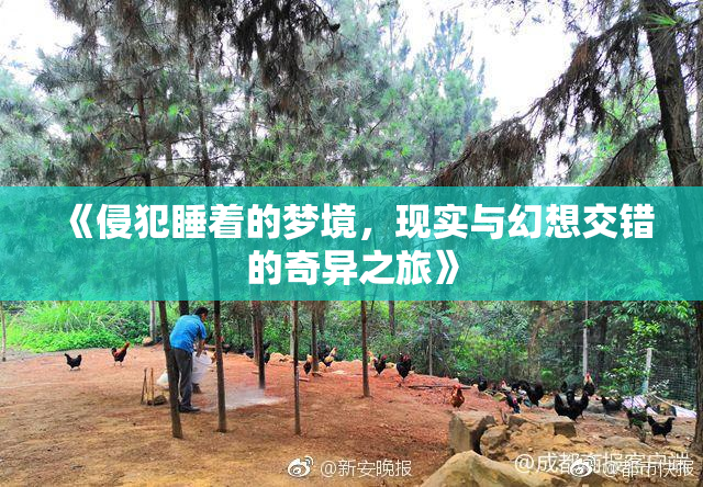 《侵犯睡着的梦境，现实与幻想交错的奇异之旅》