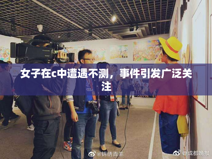 女子在c中遭遇不测，事件引发广泛关注