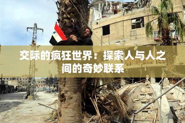 交际的疯狂世界：探索人与人之间的奇妙联系