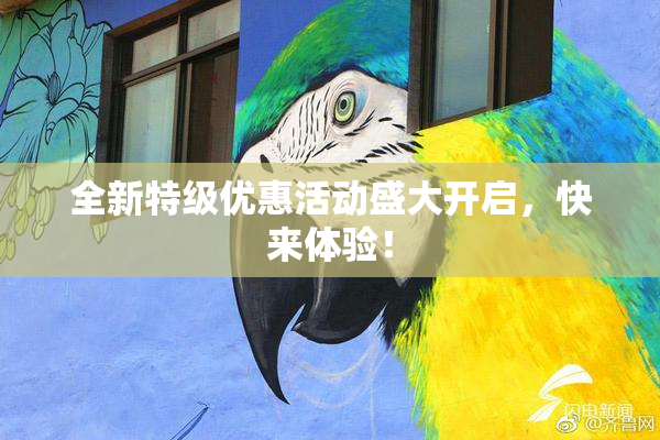 全新特级优惠活动盛大开启，快来体验！