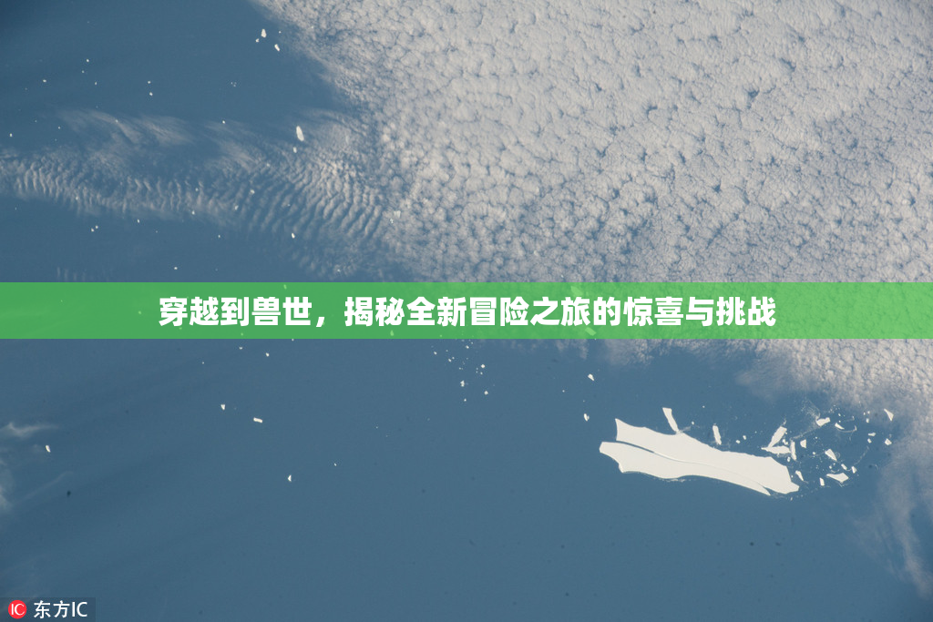 穿越到兽世，揭秘全新冒险之旅的惊喜与挑战
