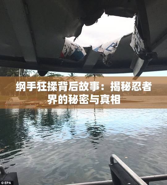 纲手狂揉背后故事：揭秘忍者界的秘密与真相