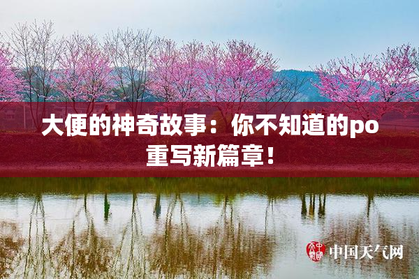 大便的神奇故事：你不知道的po重写新篇章！