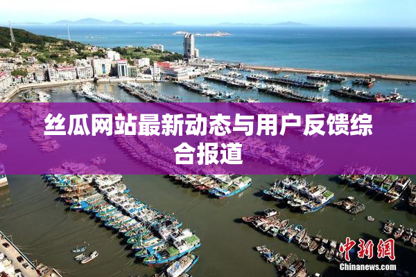 丝瓜网站最新动态与用户反馈综合报道