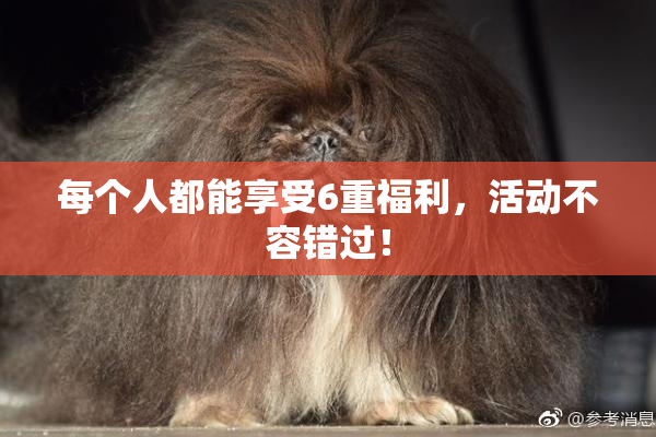 每个人都能享受6重福利，活动不容错过！