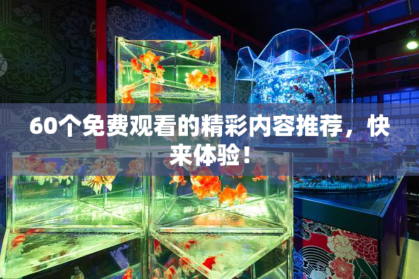 60个免费观看的精彩内容推荐，快来体验！