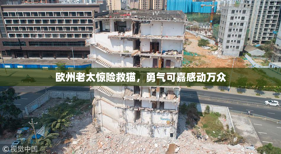 欧州老太惊险救猫，勇气可嘉感动万众