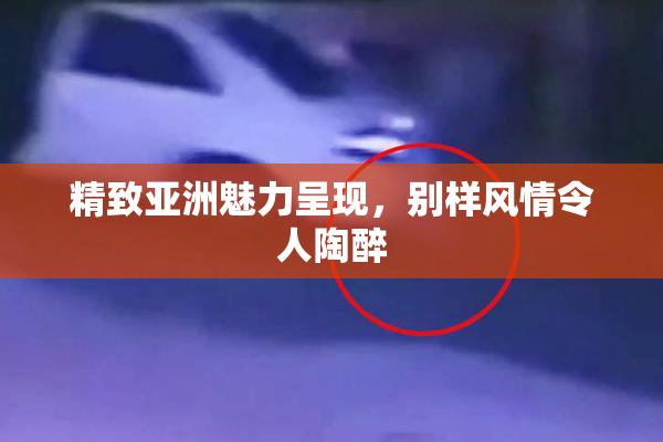 精致亚洲魅力呈现，别样风情令人陶醉
