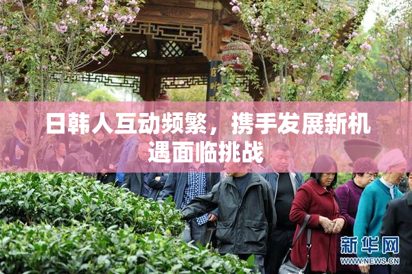 日韩人互动频繁，携手发展新机遇面临挑战