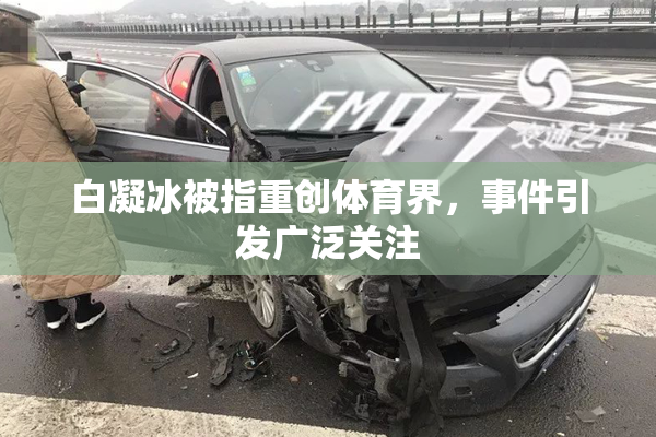 白凝冰被指重创体育界，事件引发广泛关注