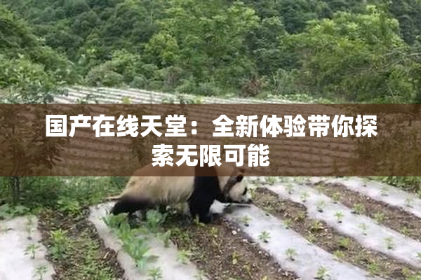 国产在线天堂：全新体验带你探索无限可能