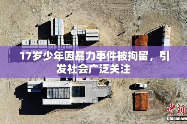 17岁少年因暴力事件被拘留，引发社会广泛关注