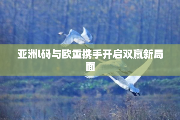 亚洲l码与欧重携手开启双赢新局面