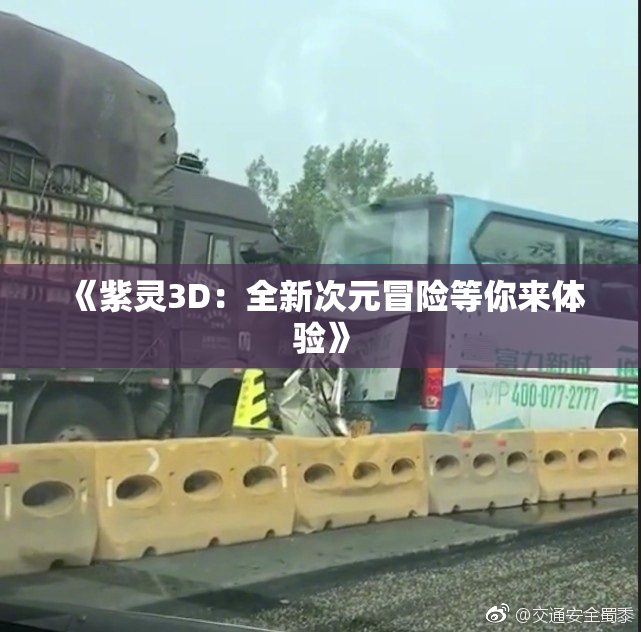 《紫灵3D：全新次元冒险等你来体验》