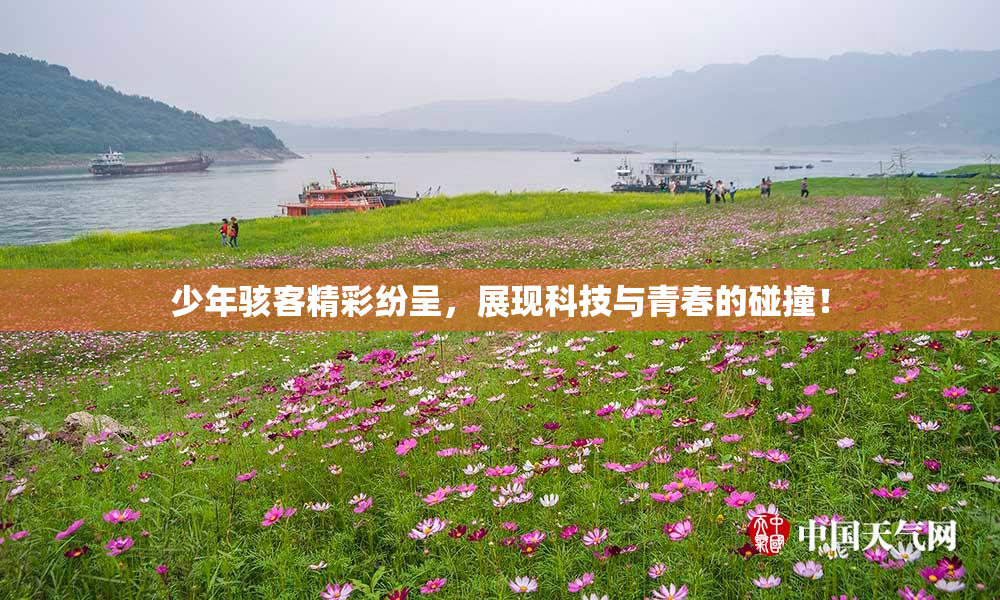 少年骇客精彩纷呈，展现科技与青春的碰撞！
