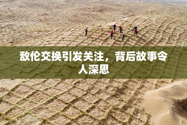 敌伦交换引发关注，背后故事令人深思