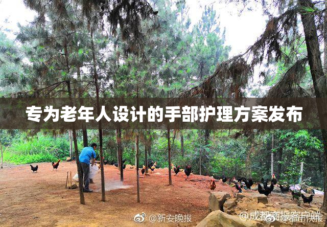 专为老年人设计的手部护理方案发布