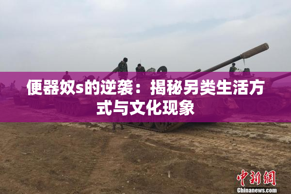 便器奴s的逆袭：揭秘另类生活方式与文化现象
