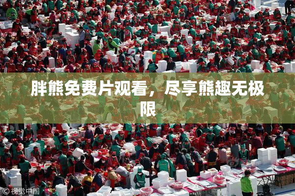 胖熊免费片观看，尽享熊趣无极限