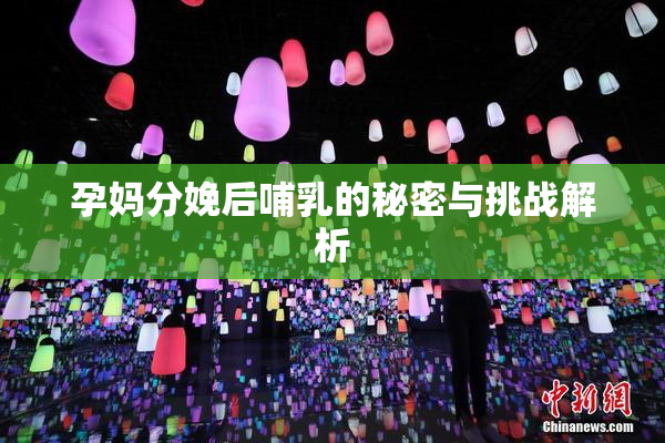 孕妈分娩后哺乳的秘密与挑战解析