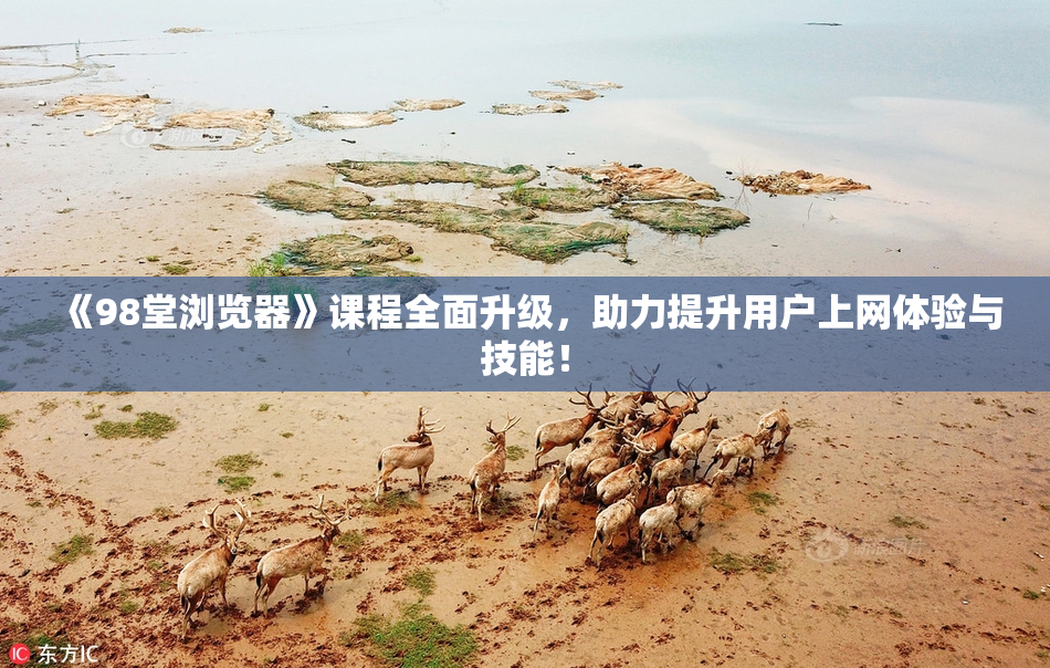 《98堂浏览器》课程全面升级，助力提升用户上网体验与技能！