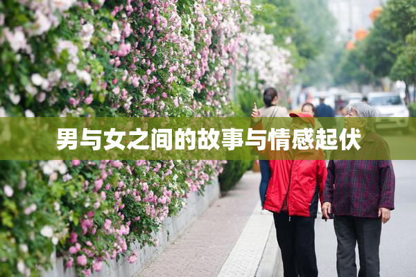 男与女之间的故事与情感起伏