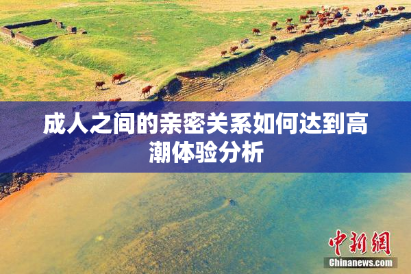 成人之间的亲密关系如何达到高潮体验分析