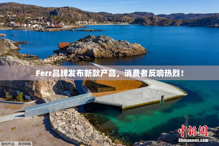 Ferr品牌发布新款产品，消费者反响热烈！