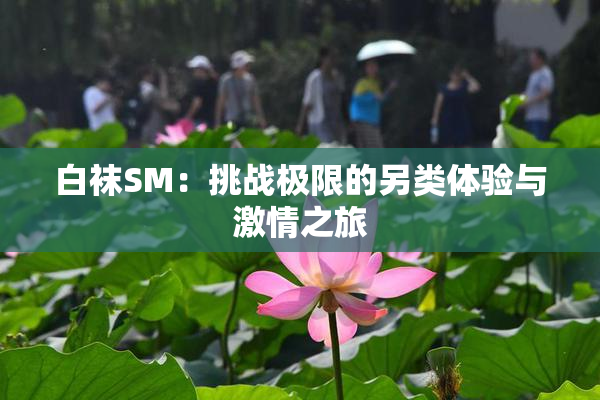 白袜SM：挑战极限的另类体验与激情之旅