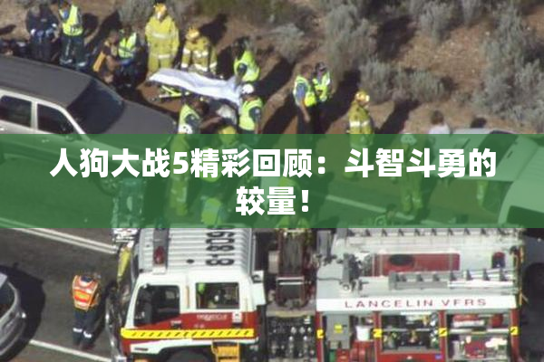 人狗大战5精彩回顾：斗智斗勇的较量！