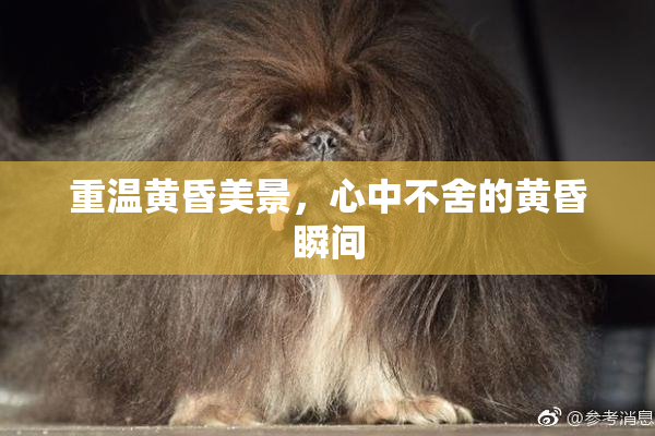 重温黄昏美景，心中不舍的黄昏瞬间
