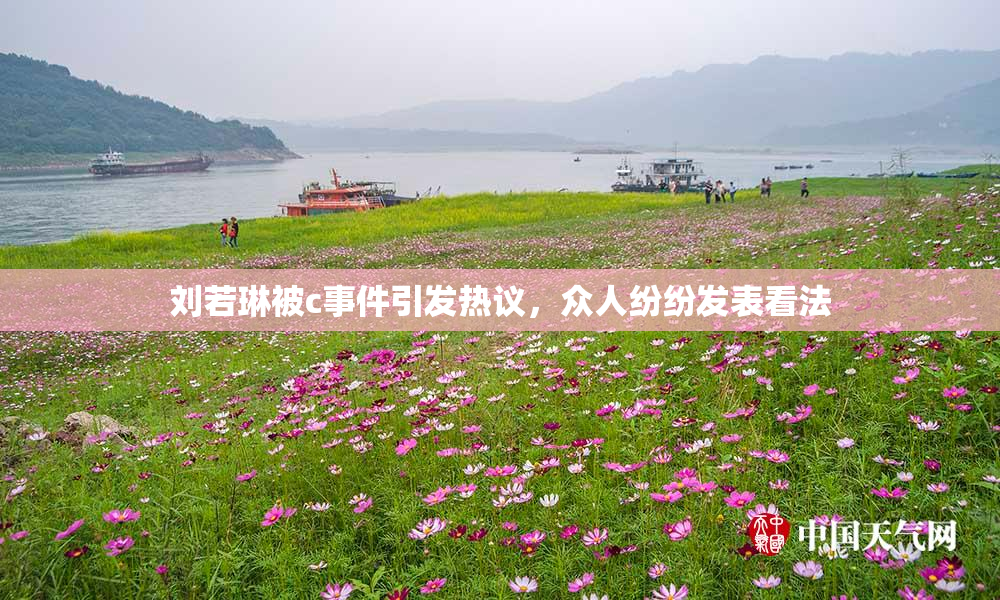刘若琳被c事件引发热议，众人纷纷发表看法