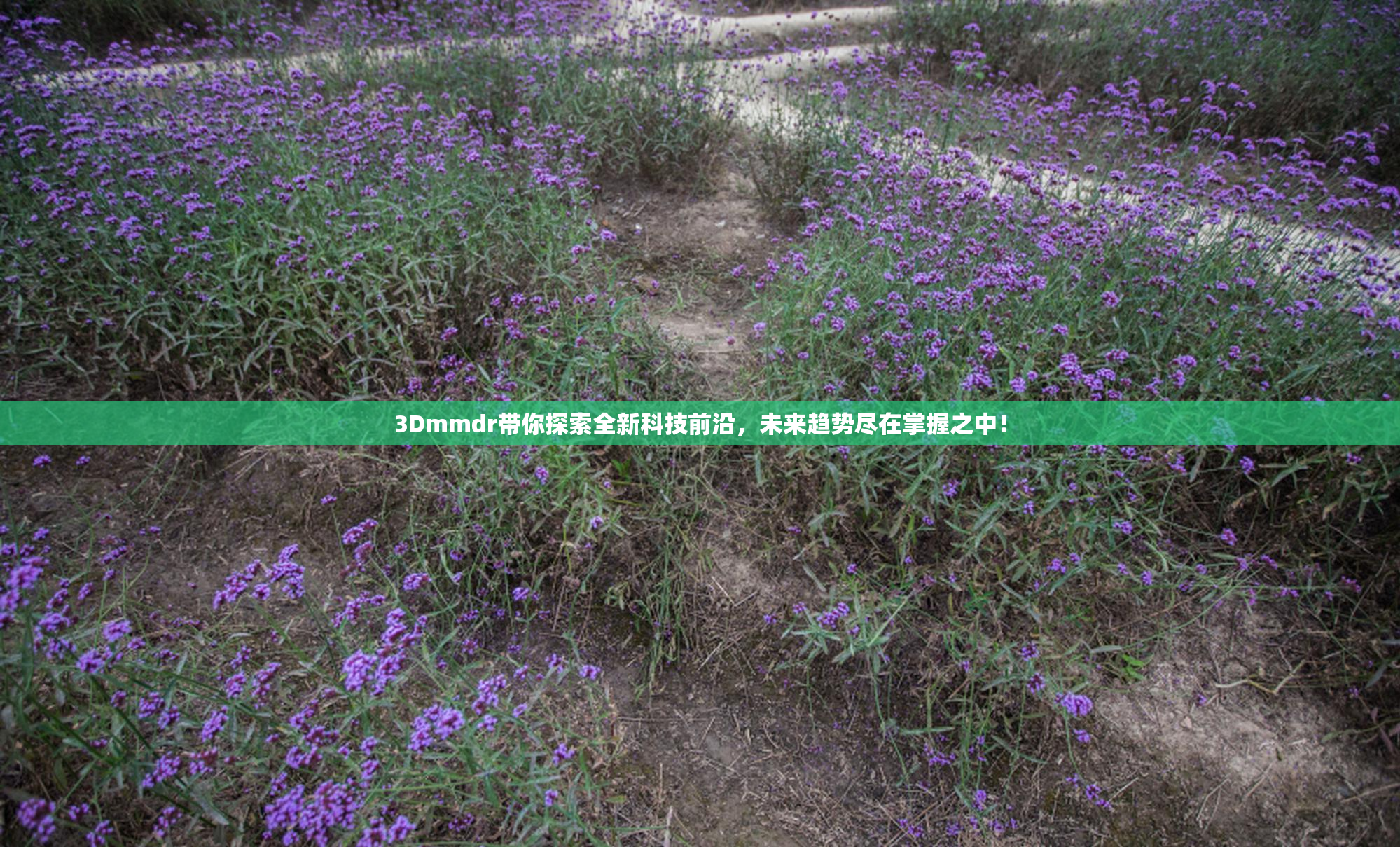 3Dmmdr带你探索全新科技前沿，未来趋势尽在掌握之中！