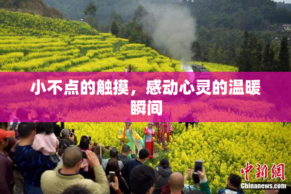 小不点的触摸，感动心灵的温暖瞬间