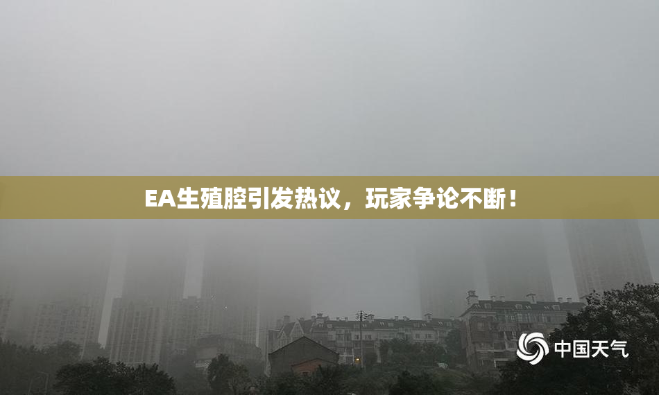 EA生殖腔引发热议，玩家争论不断！
