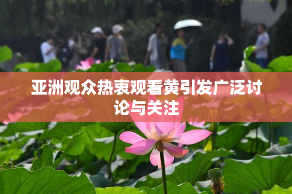 亚洲观众热衷观看黄引发广泛讨论与关注