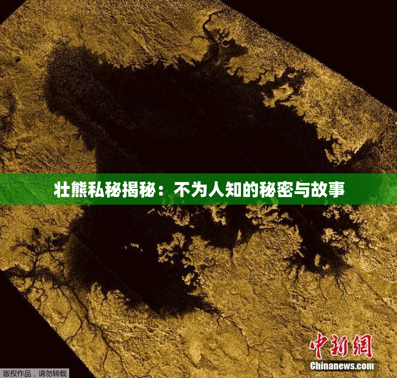壮熊私秘揭秘：不为人知的秘密与故事