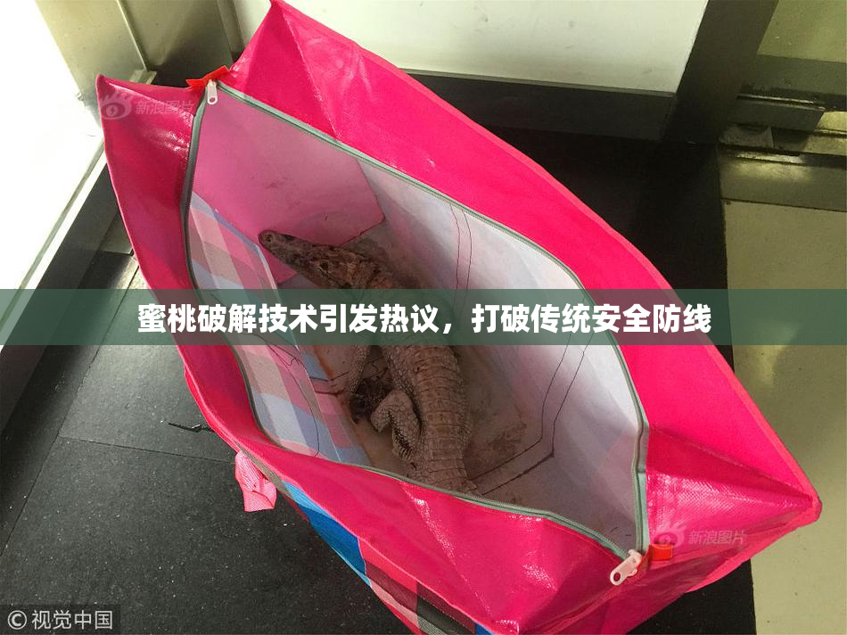 蜜桃破解技术引发热议，打破传统安全防线